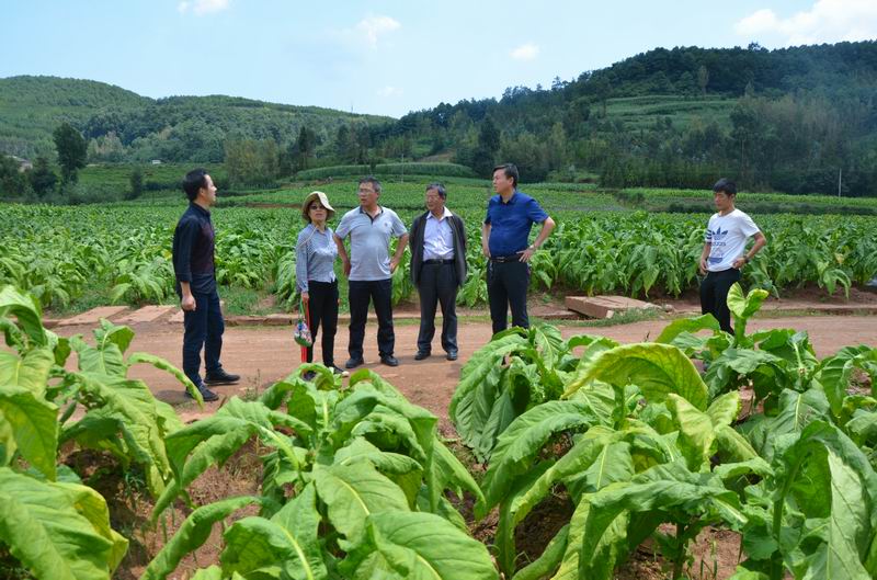  葵山項目點落實選點工作