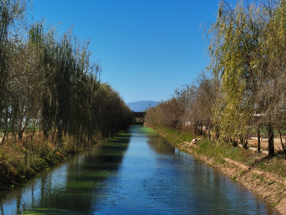 甸溪河兩岸綠柳成蔭.jpg